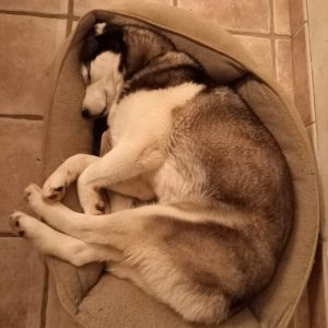 Chemin de vie en action